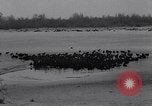 Standbild Blizzards Europa, 1963, aus Sekunde 31 historischem Filmmaterial Videoclip 65675039139