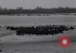 Standbild Blizzards Europa, 1963, aus Sekunde 32 historischem Filmmaterial Videoclip 65675039139