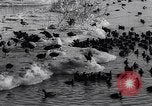 Standbild Blizzards Europa, 1963, aus Sekunde 34 historischem Filmmaterial Videoclip 65675039139