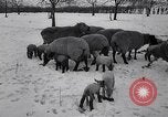 Standbild Blizzards Europa, 1963, aus Sekunde 61 historischem Filmmaterial Videoclip 65675039139