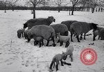 Standbild Blizzards Europa, 1963, aus Sekunde 62 historischem Filmmaterial Videoclip 65675039139