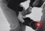Image of chimp Germany, 1963, second 8 stock footage video 65675039148