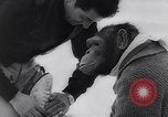 Image of chimp Germany, 1963, second 11 stock footage video 65675039148