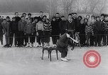 Image of chimp Germany, 1963, second 49 stock footage video 65675039148