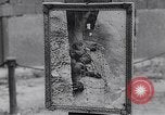 Image of Chancellor Erhard Ludwig Erhard Berlin Germany, 1963, second 16 stock footage video 65675039153