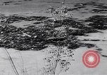 Standbild Vajont Staudamm Italien, 1963, aus Sekunde 56 historischem Filmmaterial Videoclip 65675039173
