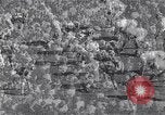 Standbild Fußball Ann Arbor Michigan USA, 1963, aus Sekunde 14 historischem Filmmaterial Videoclip 65675039174