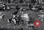 Standbild Football Game New York United States USA, 1963, aus Sekunde 18 historischem Filmmaterial Videoclip 65675039175