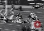 Standbild Football Game New York United States USA, 1963, aus Sekunde 43 historischem Filmmaterial Videoclip 65675039175