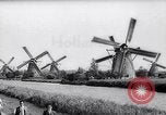 Immagine di Mulini a vento Kinderdijk Olanda, 1963, secondo 3 filmato di repertorio 65675039179