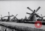 Immagine di Mulini a vento Kinderdijk Olanda, 1963, secondo 4 filmato di repertorio 65675039179