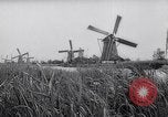Immagine di Mulini a vento Kinderdijk Olanda, 1963, secondo 21 filmato di repertorio 65675039179