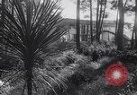 Image of Dean Rusk United States USA, 1963, second 6 stock footage video 65675039185