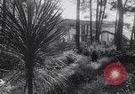 Image of Dean Rusk United States USA, 1963, second 7 stock footage video 65675039185
