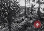 Image of Dean Rusk United States USA, 1963, second 8 stock footage video 65675039185