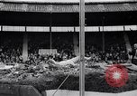 Immagine di John Pennel White City Regno Unito, 1963, secondo 24 filmato di repertorio 65675039191