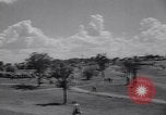 Image of Jack Nicklaus Dallas Texas USA, 1963, second 8 stock footage video 65675039196