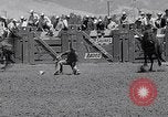 Image of Salinas California events California United States USA, 1963, second 21 stock footage video 65675039197