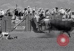 Image of Salinas California events California United States USA, 1963, second 27 stock footage video 65675039197