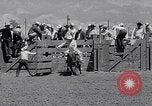 Image of Salinas California events California United States USA, 1963, second 36 stock footage video 65675039197