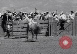Image of Salinas California events California United States USA, 1963, second 38 stock footage video 65675039197