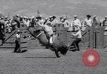 Image of Salinas California events California United States USA, 1963, second 39 stock footage video 65675039197