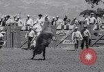 Image of Salinas California events California United States USA, 1963, second 42 stock footage video 65675039197