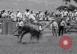 Image of Salinas California events California United States USA, 1963, second 43 stock footage video 65675039197