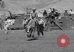 Image of Salinas California events California United States USA, 1963, second 54 stock footage video 65675039197
