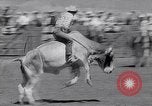 Image of Salinas California events California United States USA, 1963, second 59 stock footage video 65675039197