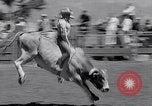 Image of Salinas California events California United States USA, 1963, second 60 stock footage video 65675039197