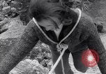 Standbild Bergsteiger Kanada, 1963, aus Sekunde 35 historischem Filmmaterial Videoclip 65675039202
