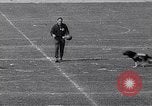 Standbild Elizabeth Kennedy Berlin Deutschland, 1963, aus Sekunde 52 historischem Filmmaterial Videoclip 65675039205