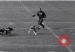 Standbild Elizabeth Kennedy Berlin Deutschland, 1963, aus Sekunde 54 historischem Filmmaterial Videoclip 65675039205