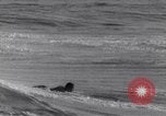 Standbild Surf-boarding baskische Küste Frankreich, 1963, aus Sekunde 29 historischem Filmmaterial Videoclip 65675039206