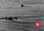 Standbild Surf-boarding baskische Küste Frankreich, 1963, aus Sekunde 36 historischem Filmmaterial Videoclip 65675039206