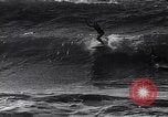Standbild Surf-boarding baskische Küste Frankreich, 1963, aus Sekunde 47 historischem Filmmaterial Videoclip 65675039206