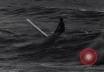 Standbild Surf-boarding baskische Küste Frankreich, 1963, aus Sekunde 62 historischem Filmmaterial Videoclip 65675039206