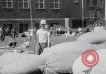Standbild John Pennel pole Gewölbe nach Einstellung aufzeichnen Coral Gables Florida USA, 1963, aus Sekunde 15 historischem Filmmaterial Videoclip 65675039211