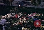 Standbild John Kennedy's Grab Washington DC USA, 1963, aus Sekunde 60 historischem Filmmaterial Videoclip 65675039276