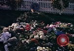 Standbild John Kennedy's Grab Washington DC USA, 1963, aus Sekunde 61 historischem Filmmaterial Videoclip 65675039276