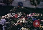 Standbild John Kennedy's Grab Washington DC USA, 1963, aus Sekunde 62 historischem Filmmaterial Videoclip 65675039276