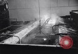 Image of B-17 D aircrafts Seattle Washington USA, 1941, second 48 stock footage video 65675039304
