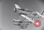 Image aéronefs O-47B Galveston Texas USA, 1941, de la seconde 39 séquences d'archives historiques vidéo 65675039318