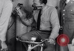 Standbild Pilot United States USA, 1941, aus Sekunde 18 historischem Filmmaterial Videoclip 65675039322