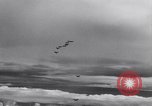 Standbild US Army Curtis P-40C Flugzeuge Hawaii USA, 1941, aus Sekunde 31 historischem Filmmaterial Videoclip 65675039372