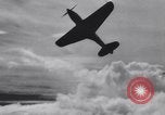 Standbild US Army Curtis P-40C Flugzeuge Hawaii USA, 1941, aus Sekunde 41 historischem Filmmaterial Videoclip 65675039372