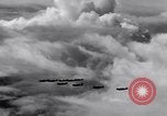 Standbild US Army Curtis P-40C Flugzeuge Hawaii USA, 1941, aus Sekunde 48 historischem Filmmaterial Videoclip 65675039372