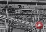 Image United States Army 503e Bataillon de parachutistes Fort Benning Georgia USA, 1941, de la seconde 8 séquences d'archives historiques vidéo 65675039374