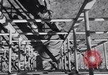 Image United States Army 503e Bataillon de parachutistes Fort Benning Georgia USA, 1941, de la seconde 13 séquences d'archives historiques vidéo 65675039374